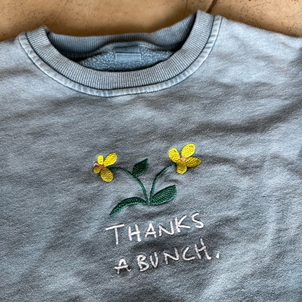 urban outfitters light blue embroidered sweatshirt